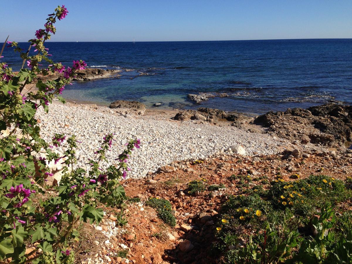 Tropicana Park Denia Dış mekan fotoğraf